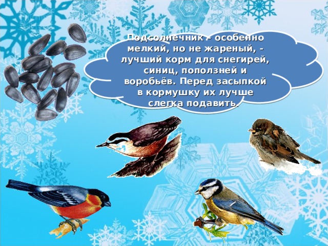 Птицы правило. Классный час зимующие птицы. Стишок про кормление птиц зимой. Стихотворение про кормление птиц зимой. Корм для зимующих птиц стих.