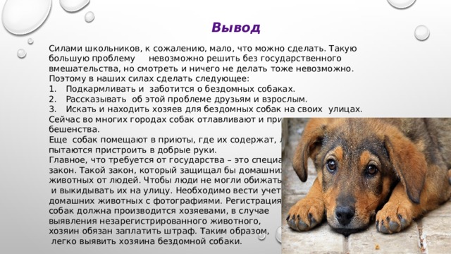Вывод Силами школьников, к сожалению, мало, что можно сделать. Такую большую проблему невозможно решить без государственного вмешательства, но смотреть и ничего не делать тоже невозможно. Поэтому в наших силах сделать следующее: 1.  Подкармливать и заботится о бездомных собаках. 2.  Рассказывать об этой проблеме друзьям и взрослым. 3.  Искать и находить хозяев для бездомных собак на своих улицах. Сейчас во многих городах собак отлавливают и прививают от бешенства. Еще собак помещают в приюты, где их содержат, лечат и пытаются пристроить в добрые руки. Главное, что требуется от государства – это специальный закон. Такой закон, который защищал бы домашних животных от людей. Чтобы люди не могли обижать собак  и выкидывать их на улицу. Необходимо вести учет домашних животных с фотографиями. Регистрация собак должна производится хозяевами, в случае выявления незарегистрированного животного, хозяин обязан заплатить штраф. Таким образом,  легко выявить хозяина бездомной собаки. 