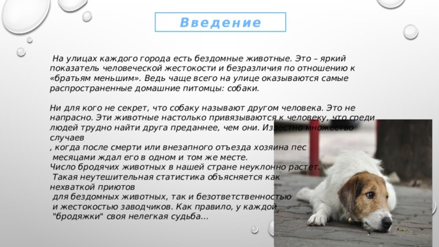 Введение    На улицах каждого города есть бездомные животные. Это – яркий показатель человеческой жестокости и безразличия по отношению к «братьям меньшим». Ведь чаще всего на улице оказываются самые распространенные домашние питомцы: собаки.  Ни для кого не секрет, что собаку называют другом человека. Это не напрасно. Эти животные настолько привязываются к человеку, что среди людей трудно найти друга преданнее, чем они. Известно множество случаев , когда после смерти или внезапного отъезда хозяина пес  месяцами ждал его в одном и том же месте. Число бродячих животных в нашей стране неуклонно растет.  Такая неутешительная статистика объясняется как нехваткой приютов  для бездомных животных, так и безответственностью  и жестокостью заводчиков. Как правило, у каждой  