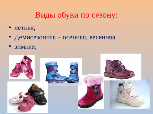 Виды обуви по сезону: летняя; Демисезонная – осенняя, весенняя зимняя; 