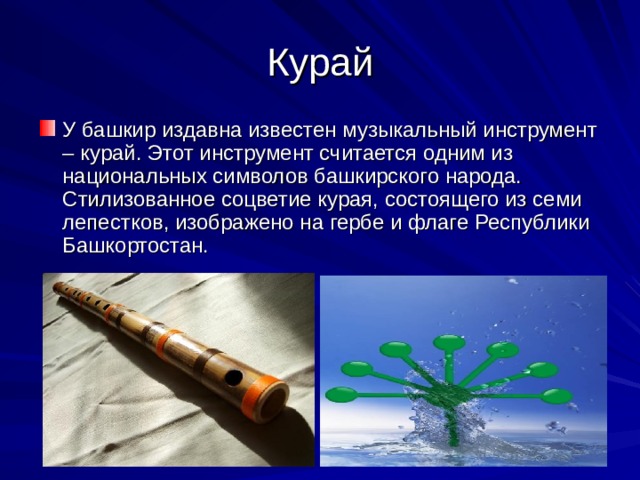 Курай У башкир издавна известен музыкальный инструмент – курай. Этот инструмент считается одним из национальных символов башкирского народа. Стилизованное соцветие курая, состоящего из семи лепестков, изображено на гербе и флаге Республики Башкортостан. 