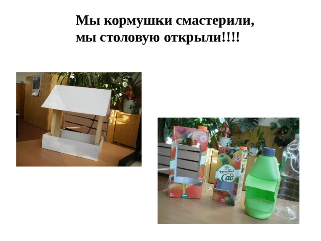 Мы кормушки смастерили, мы столовую открыли!!!!  
