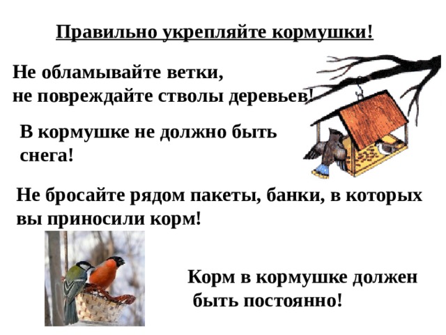 Правильно укрепляйте кормушки! Не обламывайте ветки, не повреждайте стволы деревьев! В кормушке не должно быть снега! Не бросайте рядом пакеты, банки, в которых вы приносили корм! Корм в кормушке должен  быть постоянно! 