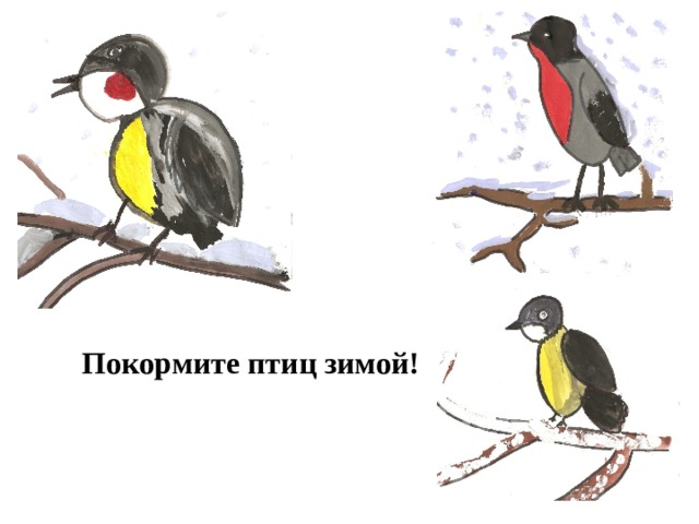 Покормите птиц зимой! 