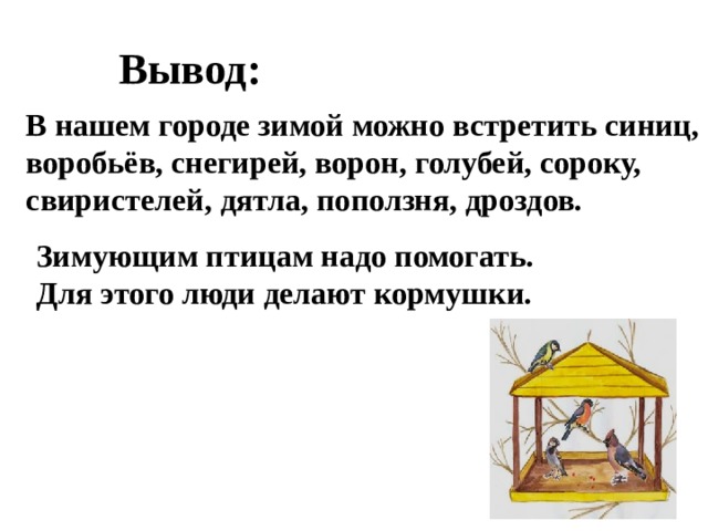 Вывод: В нашем городе зимой можно встретить синиц, воробьёв, снегирей, ворон, голубей, сороку, свиристелей, дятла, поползня, дроздов. Зимующим птицам надо помогать. Для этого люди делают кормушки. 