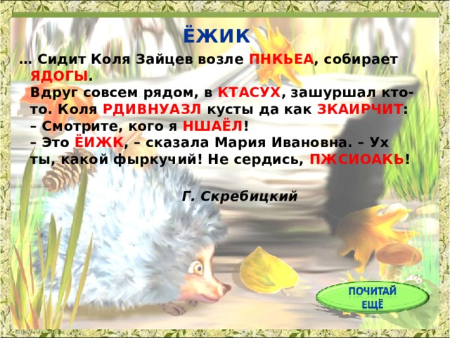  ЁЖИК … Сидит Коля Зайцев возле ПНКЬЕА , собирает ЯДОГЫ .  Вдруг совсем рядом, в КТАСУХ , зашуршал кто-то. Коля РДИВНУАЗЛ кусты да как ЗКАИРЧИТ :  – Смотрите, кого я НШАЁЛ !  – Это ЁИЖК , – сказала Мария Ивановна. – Ух ты, какой фыркучий! Не сердись, ПЖСИОАКЬ !     Г. Скребицкий 