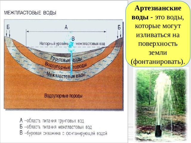 Артезианские воды - это воды, которые могут изливаться на поверхность земли (фонтанировать). 