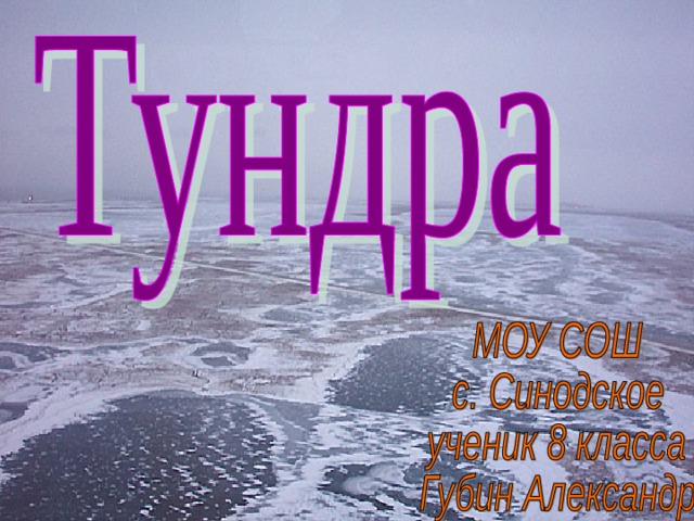 Тест тундры