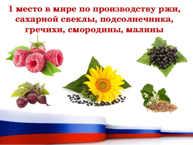 1 место в мире по производству ржи, сахарной свеклы, подсолнечника, гречихи, смородины, малины 