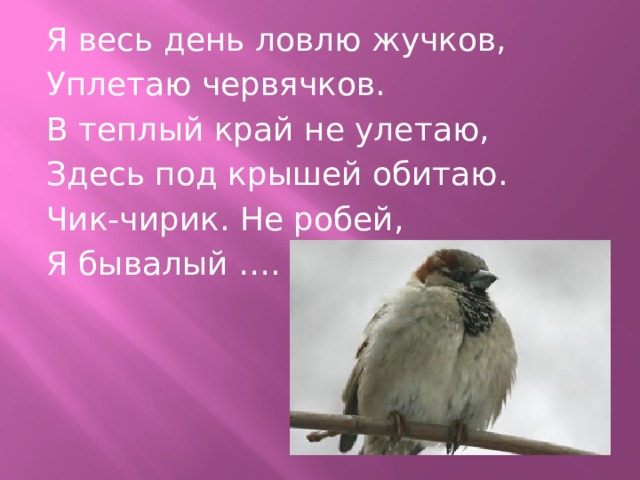 Я весь день ловлю жуков ем букашек червяков зимовать не улетаю под карнизом обитают