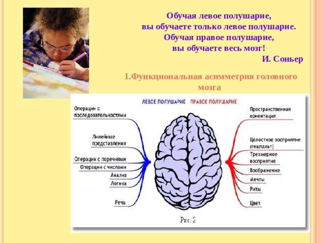 Правое и левое полушарие мозга презентация