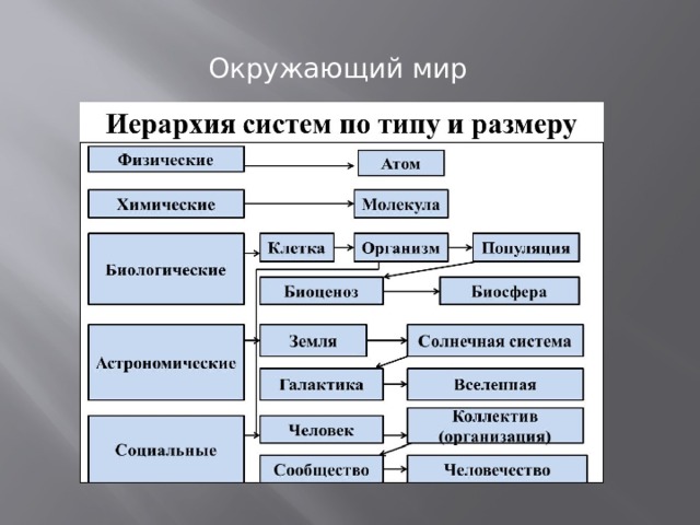 Окружающий мир как иерархическая система 9 класс презентация