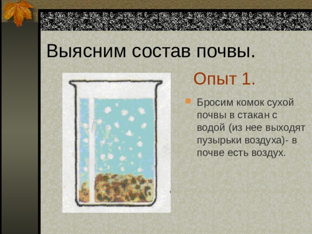 Опыт появляется. Опыт в почве есть воздух. В почве есть вода опыт. Эксперимент в почве есть воздух. Опыт воздух в почве.