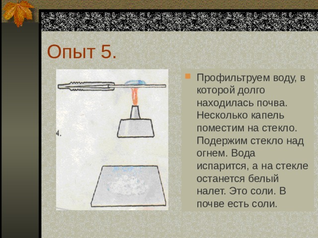 На рисунке изображены проектор и настольная лампа высота проектора 10 см какова примерная высота