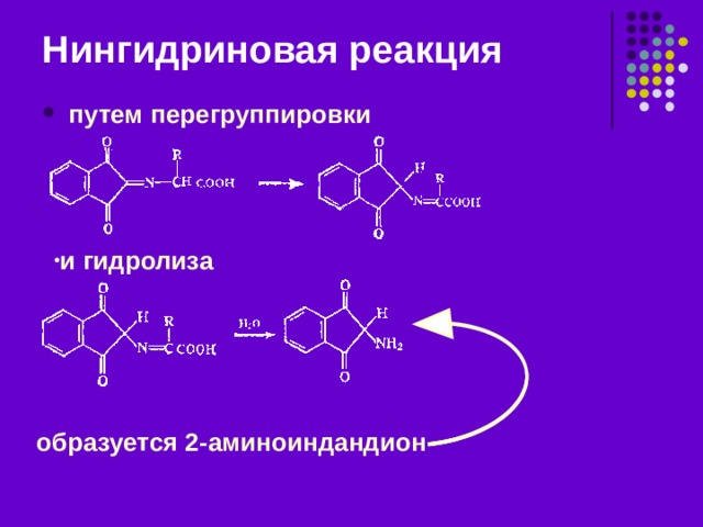 Нингидриновая реакция Качественная реакция на  -аминокислоты  Аминокислота с нингидрином образует продукт конденсации типа азометина  