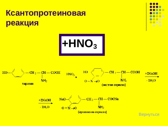 Ксантопротеиновая реакция Определяет присутствие в белке ароматических и гетероциклических  - аминокислот : триптофана, фенилаланина, тирозина, гистидина . 