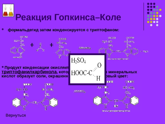 Реакция Гопкинса–Коле Эта реакция определяет аминокислоту триптофан. 
