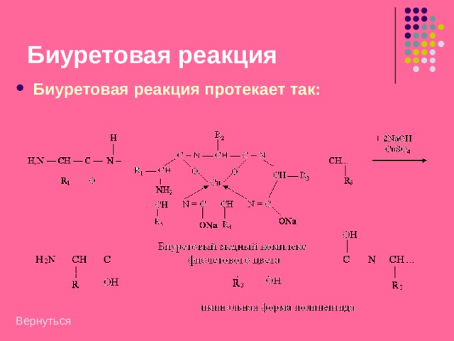 Напишите схему биуретовой реакции