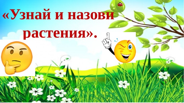 «Узнай и назови растения».