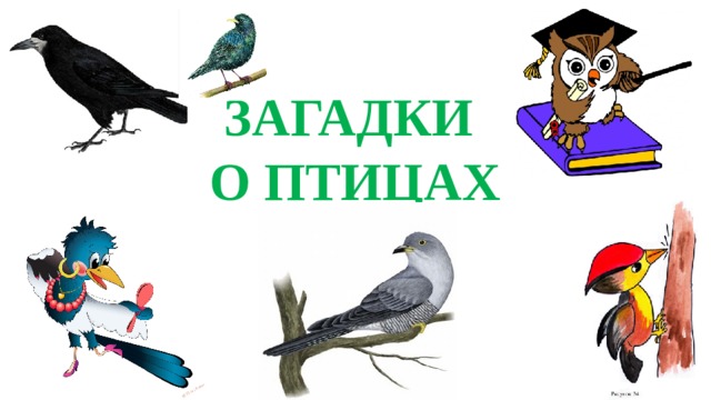ЗАГАДКИ О ПТИЦАХ