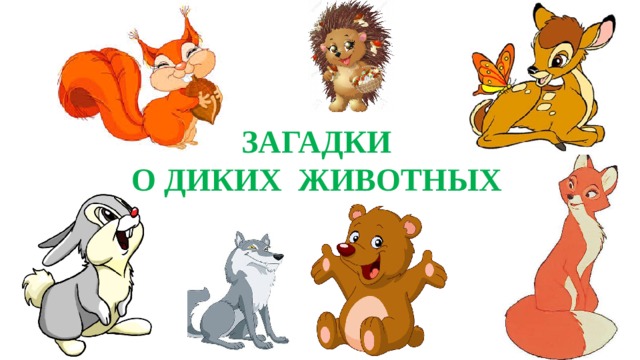 ЗАГАДКИ О ДИКИХ ЖИВОТНЫХ