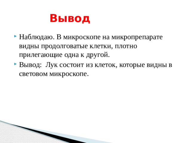  Вывод Наблюдаю. В микроскопе на микропрепарате видны продолговатые клетки, плотно прилегающие одна к другой. Вывод:  Лук состоит из клеток, которые видны в световом микроскопе . 