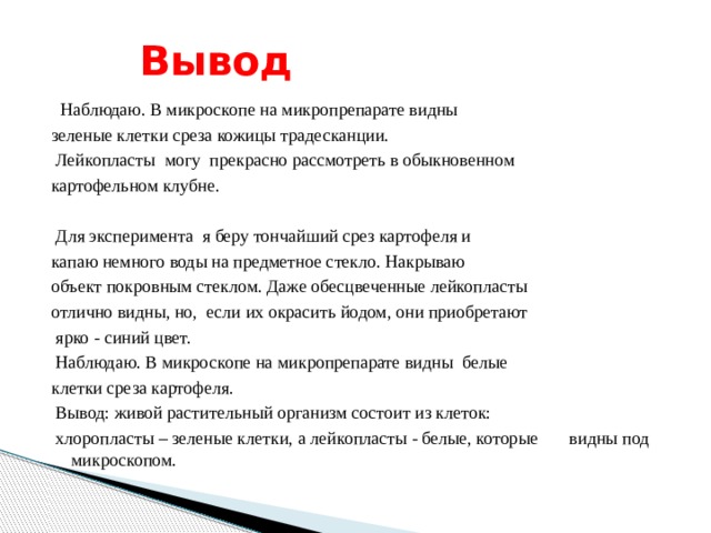  Вывод  Наблюдаю. В микроскопе на микропрепарате видны зеленые клетки среза кожицы традесканции.  Лейкопласты могу прекрасно рассмотреть в обыкновенном картофельном клубне.    Для эксперимента я беру тончайший срез картофеля и капаю немного воды на предметное стекло. Накрываю объект покровным стеклом. Даже обесцвеченные лейкопласты отлично видны, но, если их окрасить йодом, они приобретают  ярко - синий цвет.  Наблюдаю. В микроскопе на микропрепарате видны белые клетки среза картофеля.  Вывод: живой растительный организм состоит из клеток:  хлоропласты – зеленые клетки, а лейкопласты - белые, которые видны под микроскопом.  