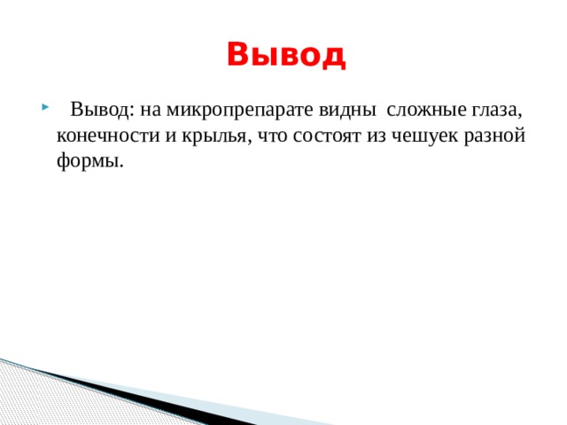  Вывод  Вывод: на микропрепарате видны сложные глаза, конечности и  крылья, что состоят из чешуек разной формы. 
