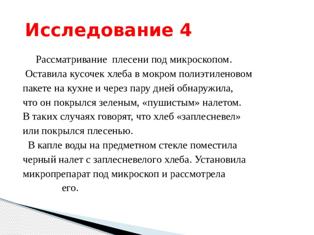  Исследование 4  Рассматривание плесени под микроскопом.  Оставила кусочек хлеба в мокром полиэтиленовом пакете на кухне и через пару дней обнаружила, что он покрылся зеленым, «пушистым» налетом. В таких случаях говорят, что хлеб «заплесневел» или покрылся плесенью.  В капле воды на предметном стекле поместила черный налет с заплесневелого хлеба. Установила микропрепарат под микроскоп и рассмотрела  его.  