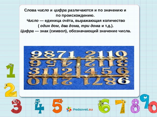 Слова  число  и  цифра  различаются и по значению и по происхождению.  Число  — единица счёта, выражающая количество  (  один дом, два дома, три дома  и т.д.).  Цифра  — знак (символ), обозначающий значение числа. 