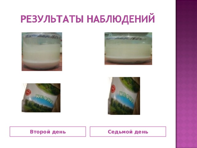 Второй день Седьмой день 