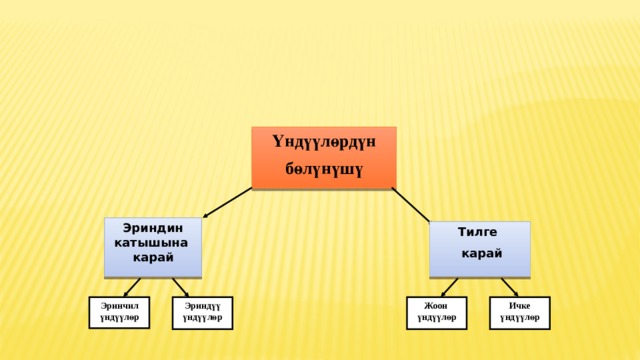 Үндүүлөрдүн бөлүнүшү Эриндин катышына карай Тилге  карай Жоон үндүүлөр Ичке үндүүлөр Эринчил үндүүлөр Эриндүү үндүүлөр  