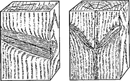 Влияние на качество древесины. Пороки древесины сшивной. Пороки древесины Лапчатый. Корень влияние на качество древесины. Рисунок пластевой трещины на древесине.