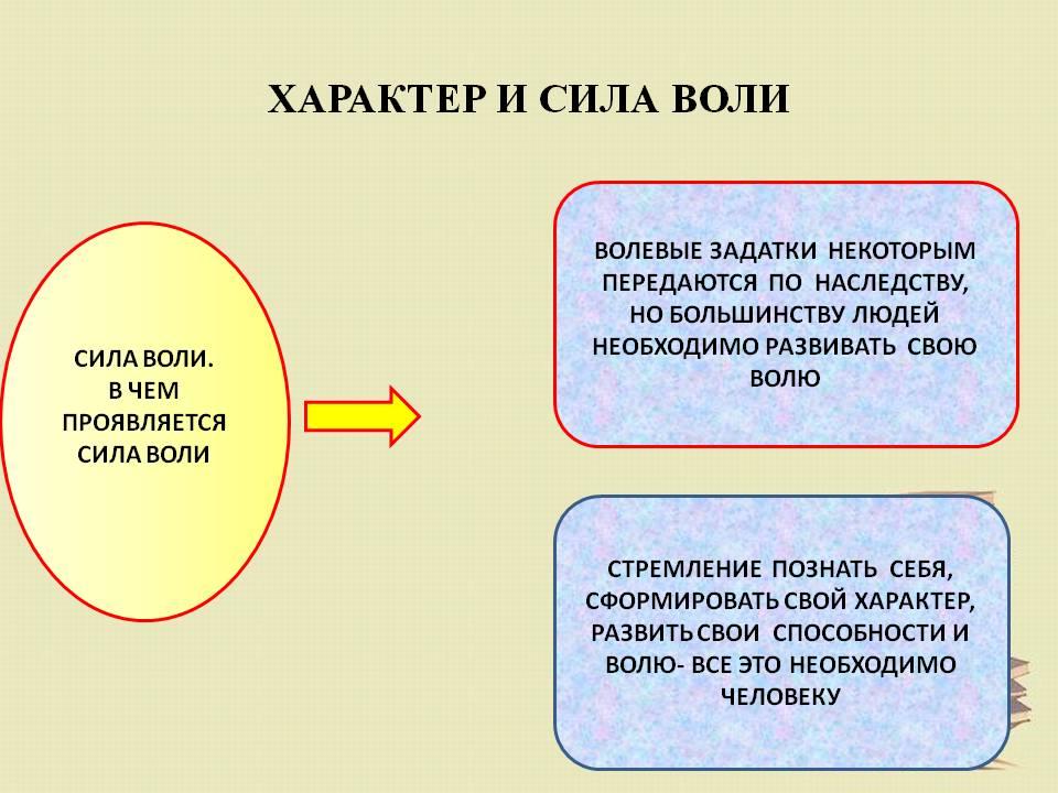 Сила воли проект воли