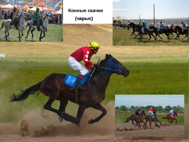Конные скачки  (чарыс)