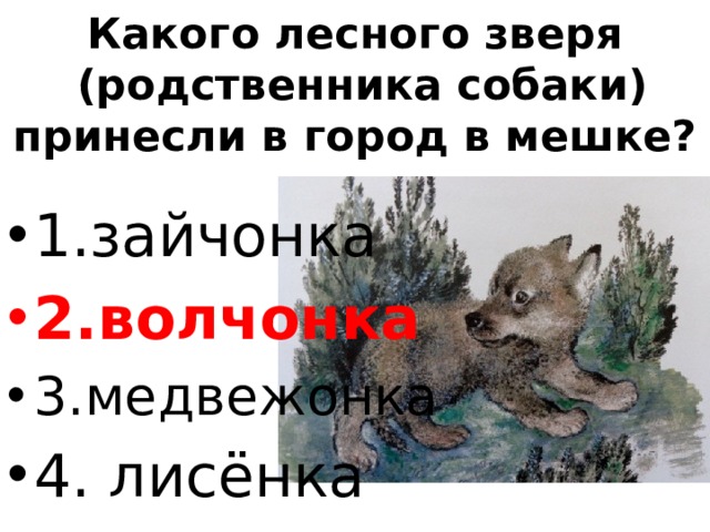 Какого лесного зверя  (родственника собаки)  принесли в город в мешке?