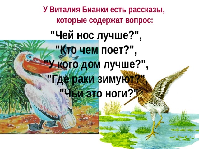 У Виталия Бианки есть рассказы, которые содержат вопрос: 
