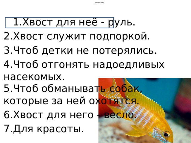 1.Зачем хвост Рыбе?  1.Хвост для неё - руль.