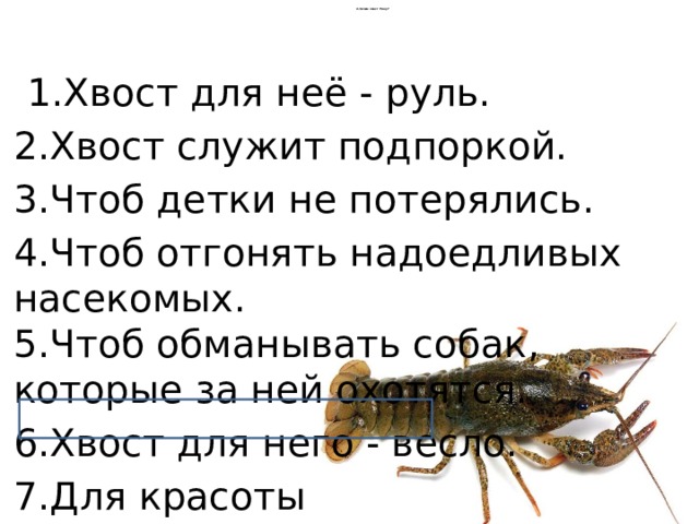 2.Зачем хвост Раку?  1.Хвост для неё - руль.