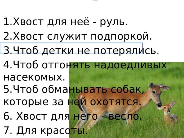 Оленуха брела по чужой ставшей ей. Зачем нужен хвост. Бианки хвосты оленуха. Для чего животным нужен хвост. Зачем животным нужен хвост сообщение 5 класс.