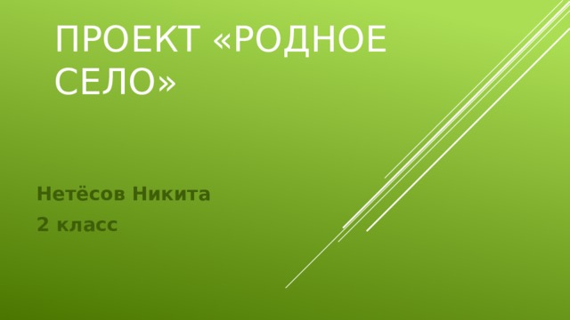 Проект «родное село» Нетёсов Никита 2 класс
