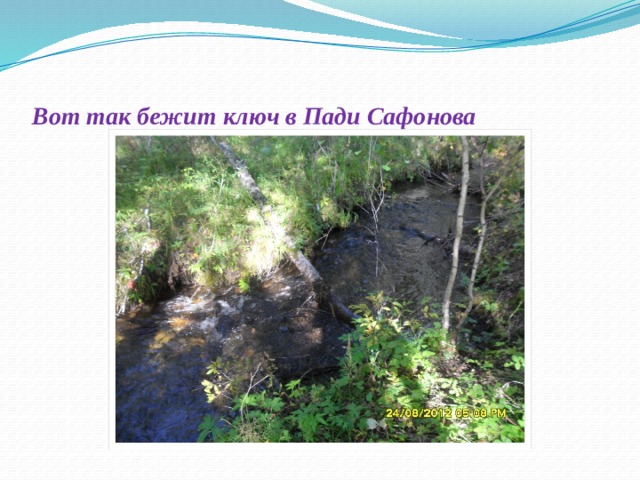 Вот так бежит ключ в Пади Сафонова