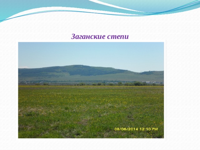 Заганские степи