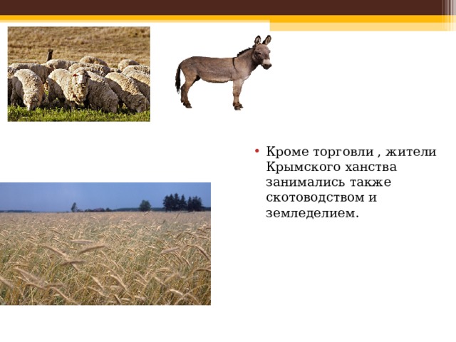 Кроме торговли , жители Крымского ханства занимались также скотоводством и земледелием. 