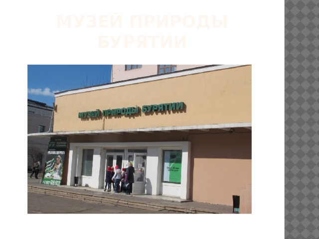 МУЗЕЙ ПРИРОДЫ БУРЯТИИ