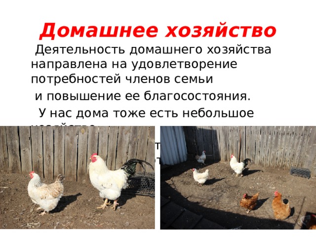 Домашнее хозяйство  Деятельность домашнего хозяйства направлена на удовлетворение потребностей членов семьи  и повышение ее благосостояния.   У нас дома тоже есть небольшое хозяйство.  Это семь кур и петух, а также крупнорогатый скот.