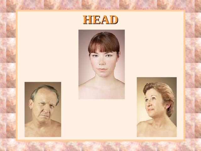 HEAD 