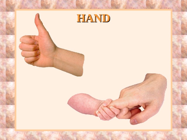 HAND 