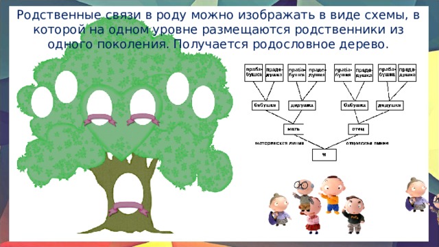 Родственные связи в роду можно изображать в виде схемы, в которой на одном уровне размещаются родственники из одного поколения. Получается родословное дерево. 