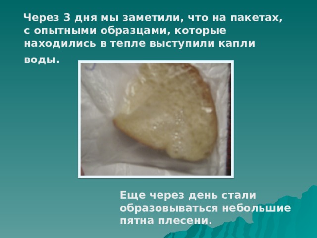  Через 3 дня мы заметили, что на пакетах, с опытными образцами, которые находились в тепле выступили капли воды.   Еще через день стали образовываться небольшие пятна плесени. 
